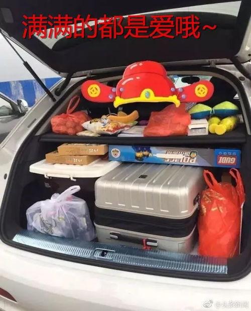 行李箱吃瓜群众,揭秘吃瓜群众的神秘生活