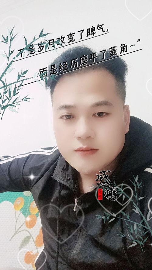 大宝磊哥爆料了吗视频,视频内容深度解析