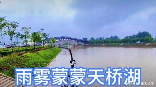 户县天桥湖今日头条事件,真相与反思