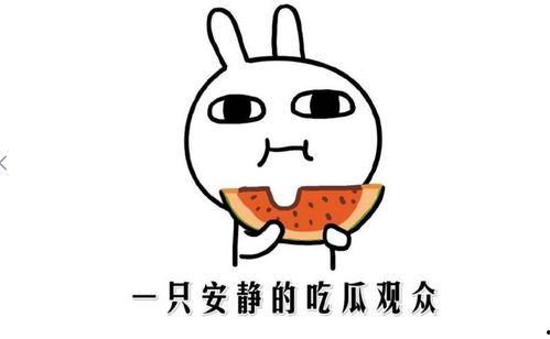 形容吃瓜的,揭秘吃瓜群众的欢乐时光