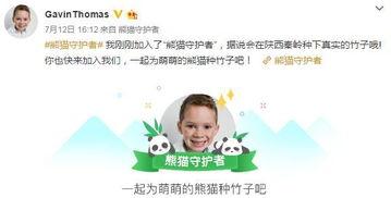 网红小朋友图片男孩,网红小男孩的可爱瞬间