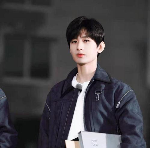 男明星成毅头像,探寻男星成毅的独特风采