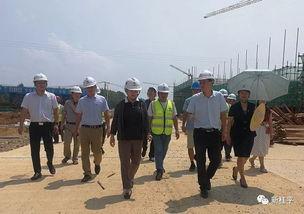 石龙县黄村镇新闻头条,聚焦乡村振兴，共绘美好家园新画卷