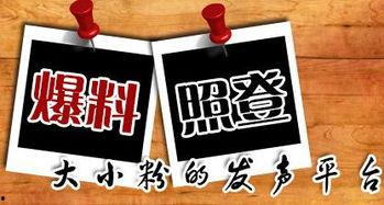 爆料新闻的平台,知名爆料平台背后的惊人内幕