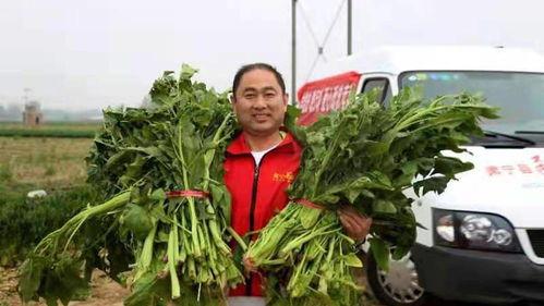 头条直播可以卖菜吗农村,头条直播助力菜农拓宽销售渠道