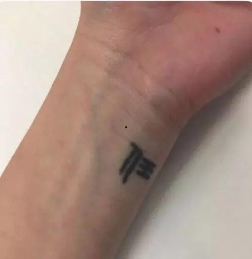 推特上的华人网红,跨越国界，展现多元魅力”