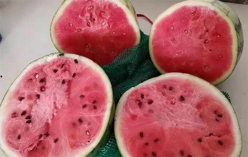 吃麒麟瓜新花样,解锁夏日清凉新体验