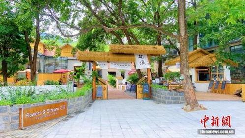 农村小院子改造网红地,打造网红田园风光的秘密