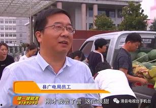 吃瓜群众与南下干部,吃瓜群众视角下的南下干部传奇