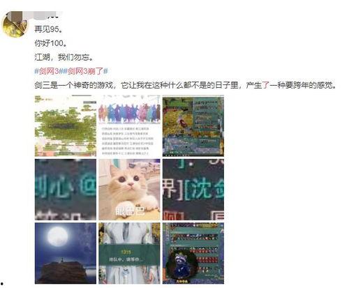 网络热瓜在哪吃