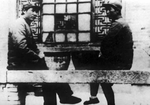 赵文文陕北网红真事