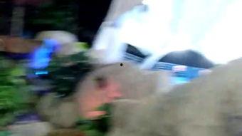 老丁视频爆料,揭秘事件背后惊人真相