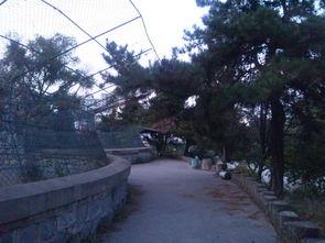 延吉公园头条号,探寻城市绿洲的休闲时光