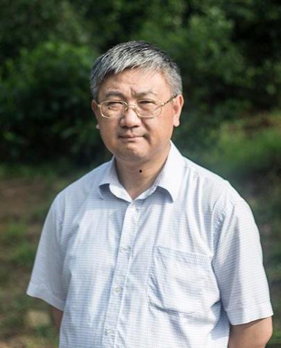 贺雪峰头条,揭秘农村发展新趋势与乡村振兴战略