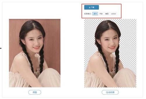 明星遛鸟高清视频素材,高清遛鸟视频揭秘