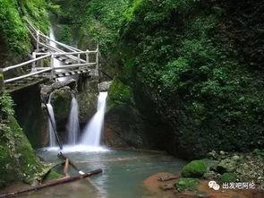 青城后山吃瓜事件视频,一场引发网友热议的乡村奇闻