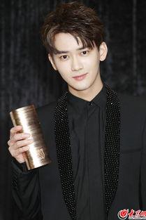 新锐男明星,闪耀娱乐圈的璀璨新星