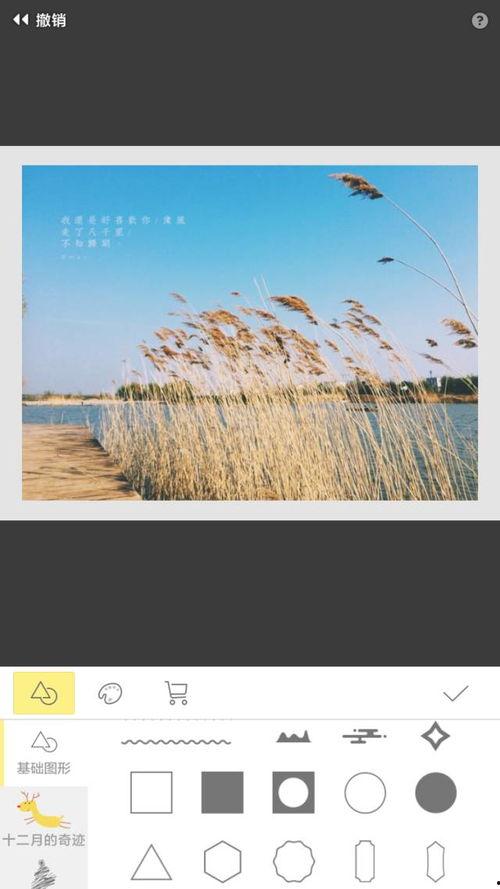 手机学网红拍照软件,轻松掌握时尚拍照技巧