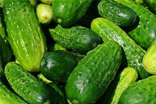 梦见吃瓜和卖瓜,瓜果飘香，揭秘吃瓜与卖瓜的神秘寓意