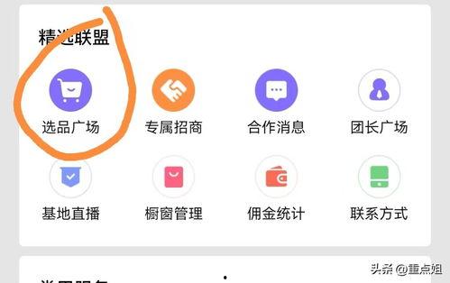 头条怎么上橱窗商品,如何根据头条数据打造橱窗热门商品